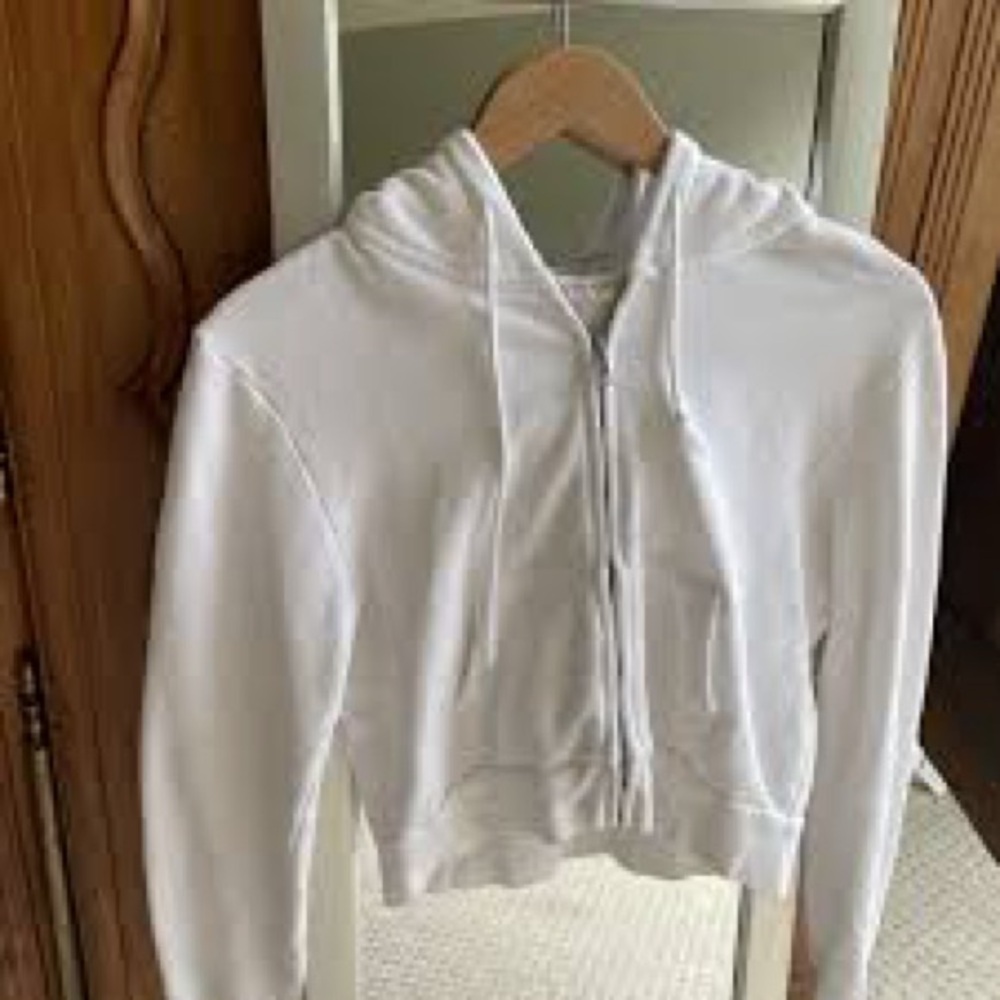American Eagle Cropped Hoodie